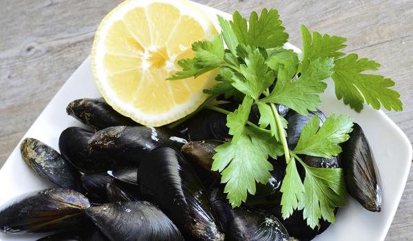 Moules de Bouchot S.T.G. Bio